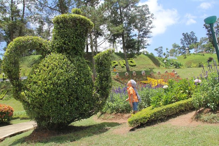 Visiting Da Lat Flower Park - ảnh 3